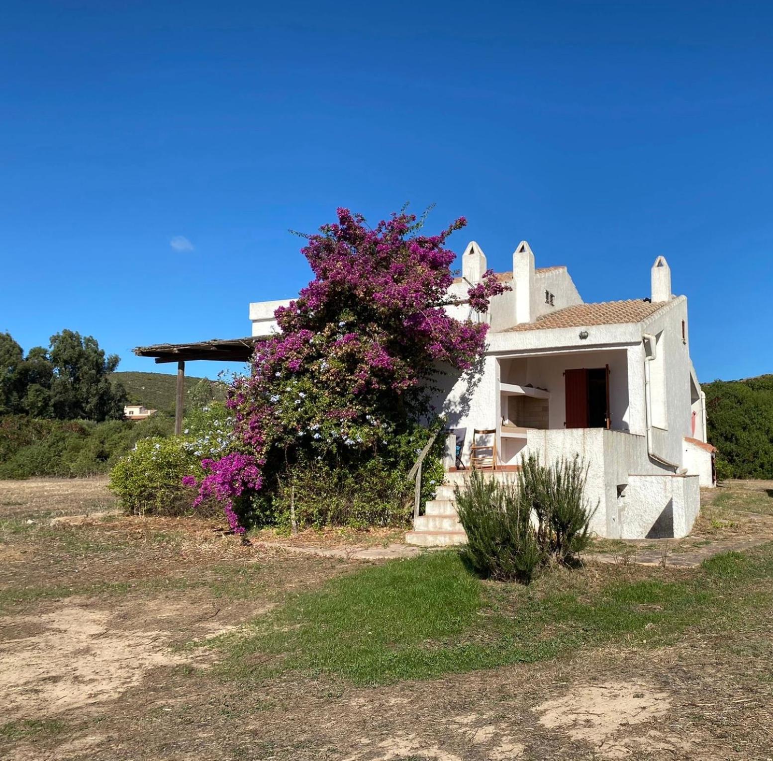 Casa Bianchi - Villa Immersa Nel Verde Калофорте Экстерьер фото